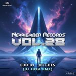Bitches {Dj Joka RMX}